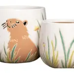 2-Piece Ceramic Decorative Pot Set complete set