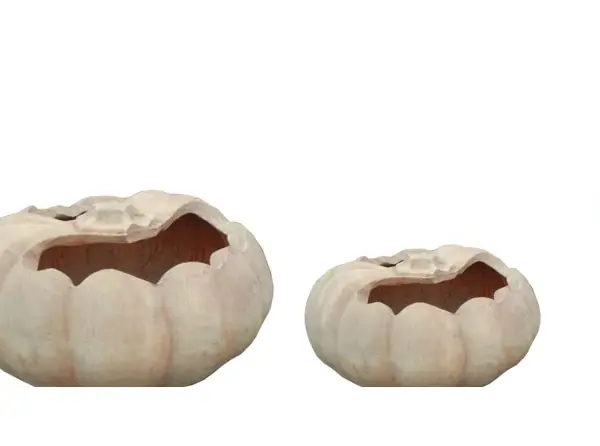 2-Piece Decorative Mushroom Ornament Set complete set