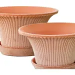 2-Piece Terracotta Decorative Pot Set complete set