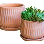 2-Piece Terracotta Decorative Pot Set complete set