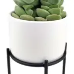 3-Piece Pot with Stand Set complete set