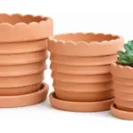 3-Piece Terracotta Decorative Pot Set complete set
