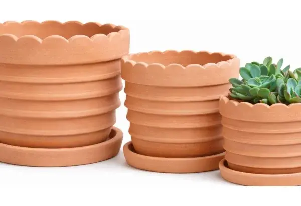 3-Piece Terracotta Decorative Pot Set complete set