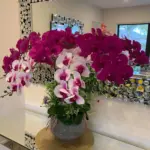 Amara Magenta & White Artificial Orchid Statement Arrangement