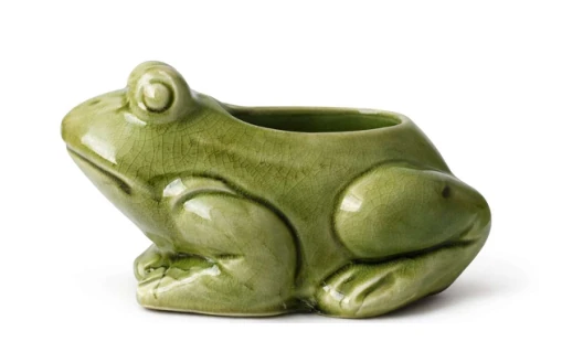 Animal-Shaped Decorative Planter complete set