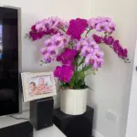 Celeste Purple & Magenta Artificial Orchid Statement Arrangement