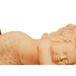 Decorative Garden Figure complete set