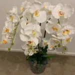 Elara White Artificial Orchid Cascade Arrangement