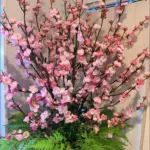 Evelyn Pink Blossom Branch Statement Arrangement