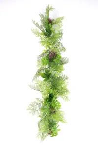 Greenery Trail - MAIDEN HAIR