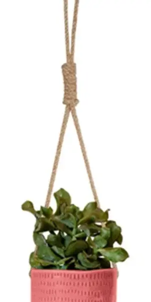 Hanging Pot complete set