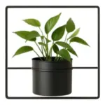 Hanging Pot complete set