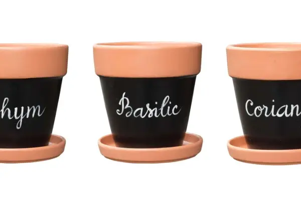Herb Pot complete set