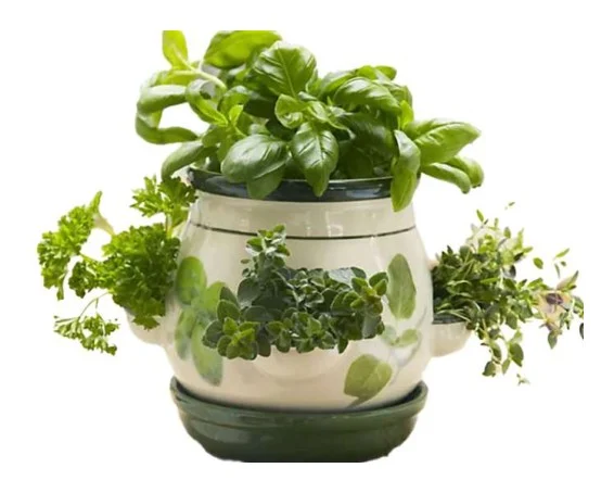 Herb Pot complete set