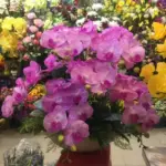 Liora Magenta Artificial Orchid Statement Arrangement