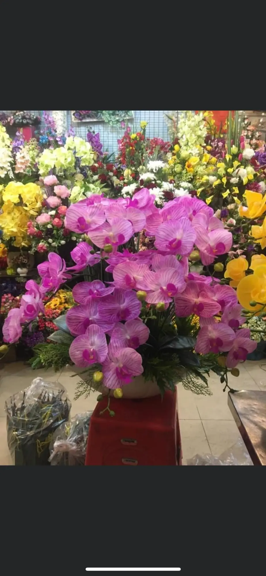 liora-magenta-artificial-orchid-statement-arrangement-oz-p-003375-01 Liora Magenta Artificial Orchid Statement Arrangement - Image 1
