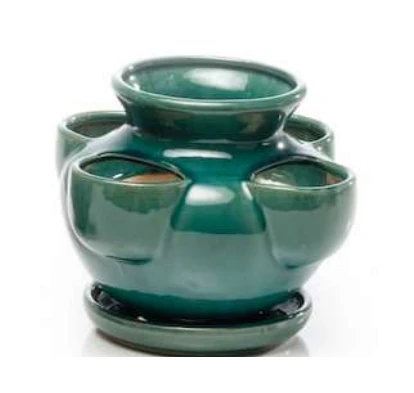Strawberry Pot complete set