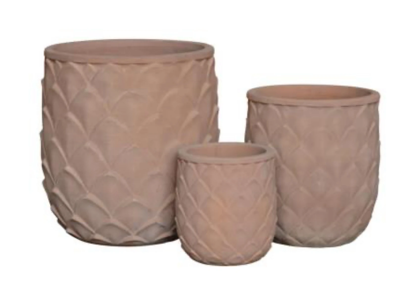 Terracotta Planter Terracotta Planter
