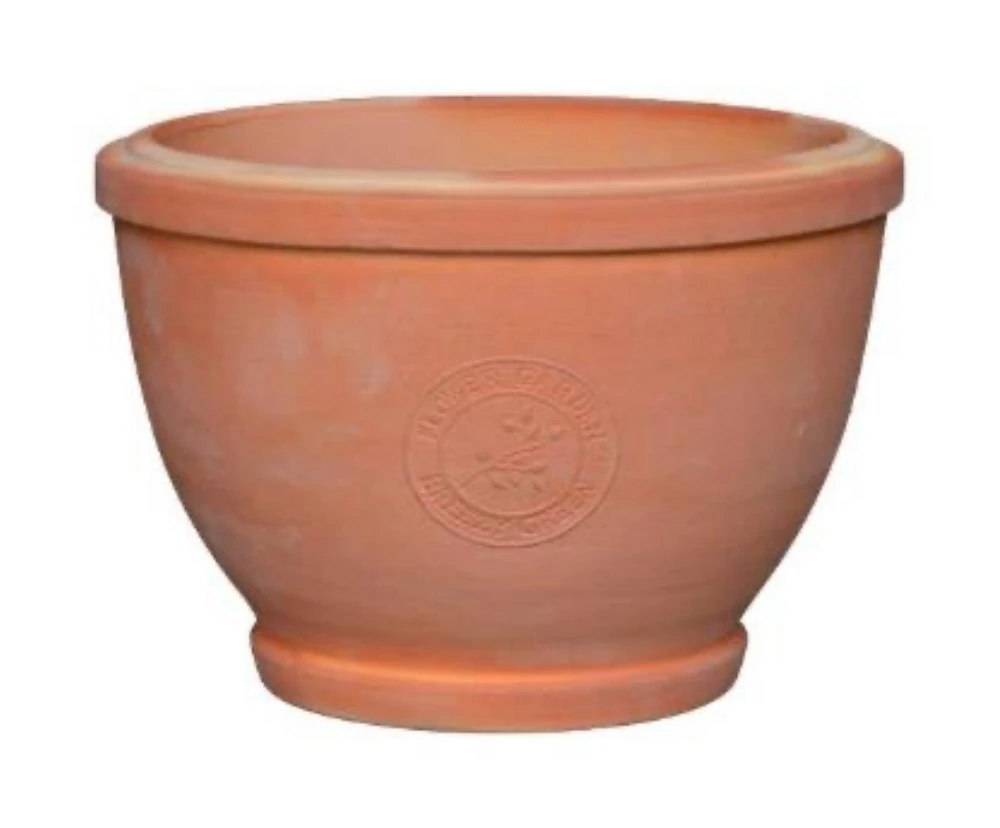 Terracotta Planter Terracotta Planter