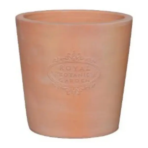 Terracotta Planter