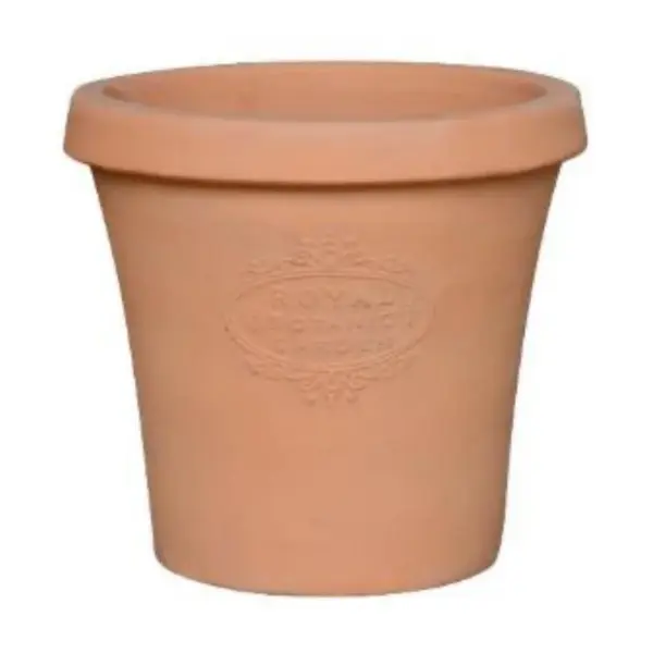 Terracotta Planter