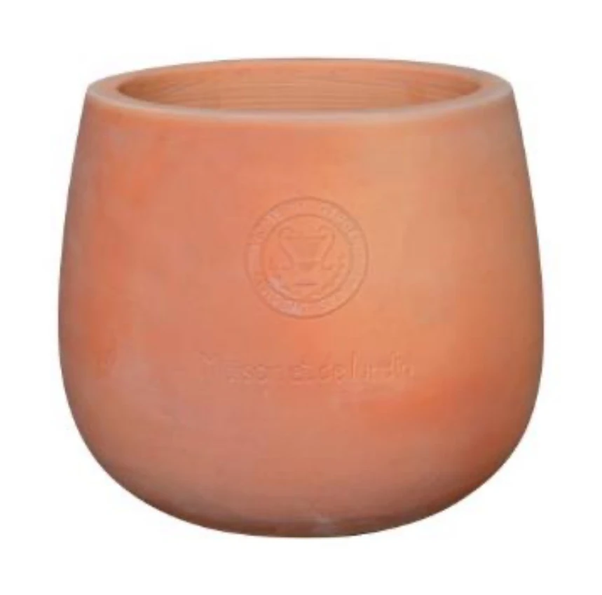 Terracotta Planter Terracotta Planter