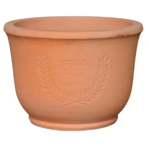 Terracotta Planter