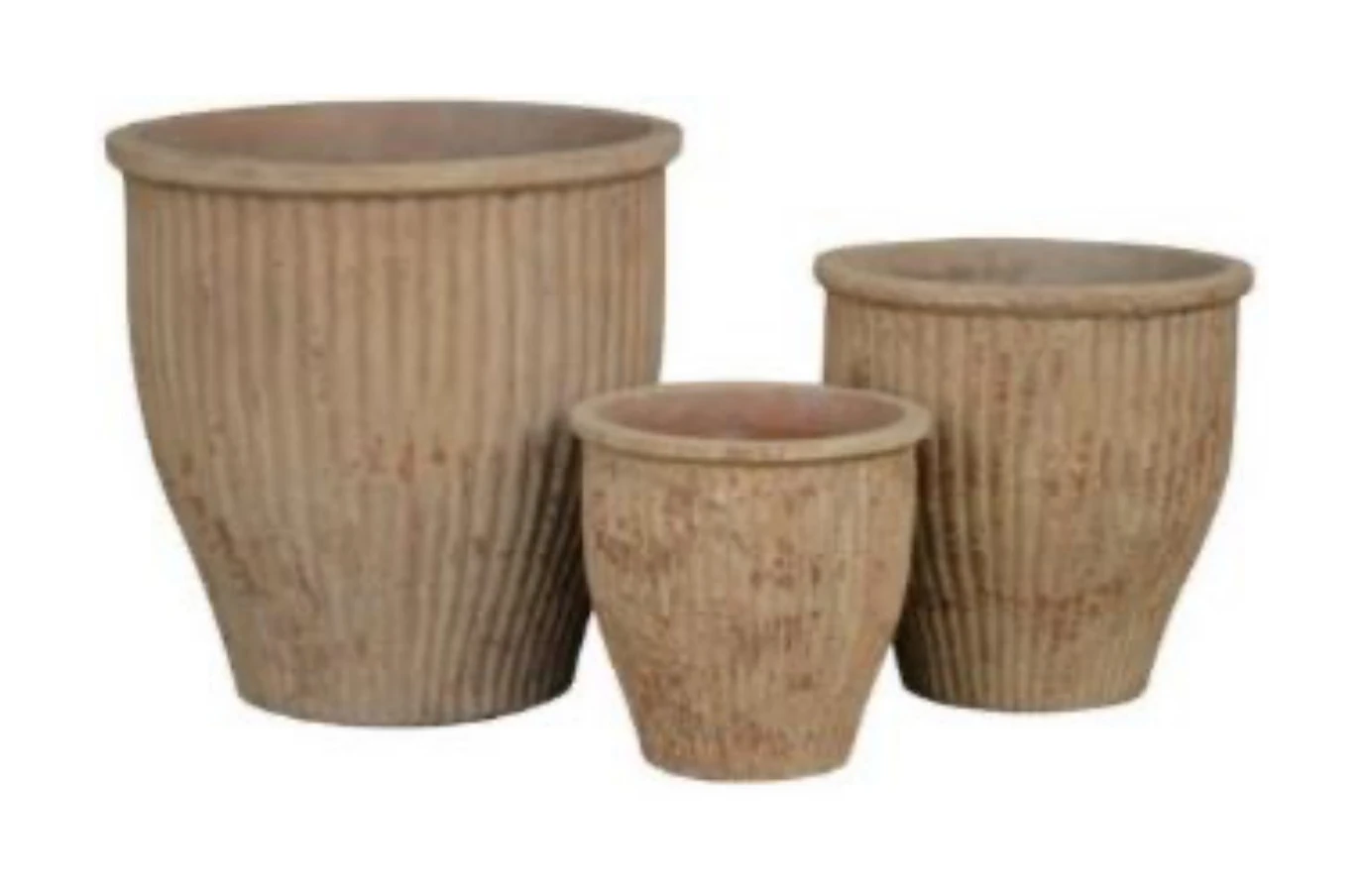 Terracotta Planter Terracotta Planter