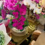 Valencia Magenta & White Artificial Orchid Bowl Arrangement