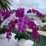 Vivienne Mixed Magenta Artificial Orchid Arch Arrangement
